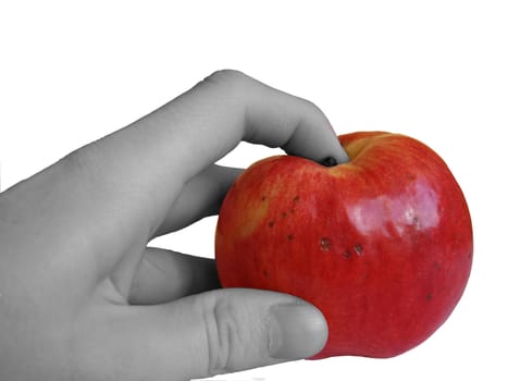 apple and men's hand