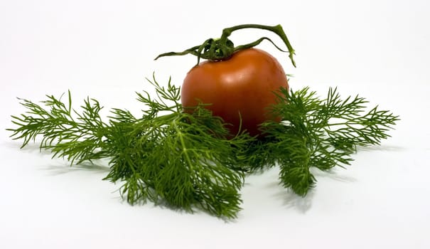 Fresh tomato and dill on white background