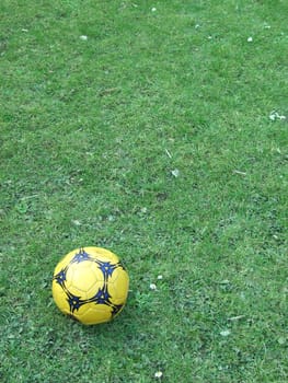 yellow ball on the green grass