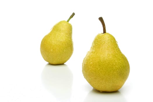 A pair of yellow pears with drops, one on front and one  backwards (out of focus) over a white background. Look for more fruits and vegetables at my gallery