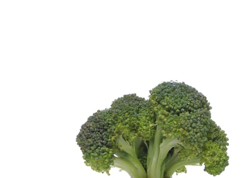 Broccoli closeup with space for text and design elements. Look at my gallery for more fresh fruits and vegetables.