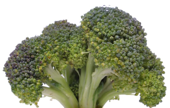 Broccoli closeup looking like a tree . Look at my gallery for more fresh fruits and vegetables.