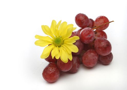 Cluster of grapes with drops and a yellow flower  over a white background. Look at my gallery for more fruits and vegetables