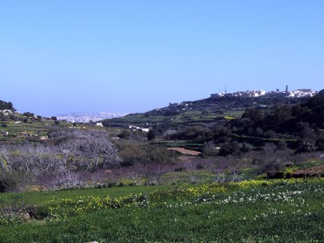 Landscape countryside scenery in Malta, Mediterranean Sea