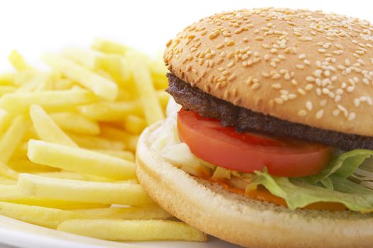 hamburger and french fries on the plate over white background