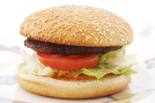 Hamburger with tomato and lettuce on the plate