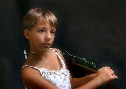 The girl sitting on a chair with a camomile on a dark background