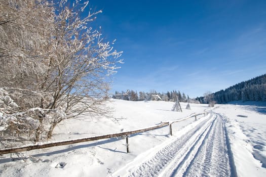 Footpath in mountain. Sunny day in winter time. 