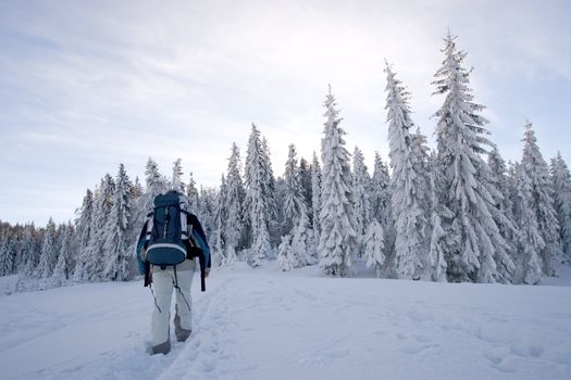 Winter trekking in wild scenery during beautiful day