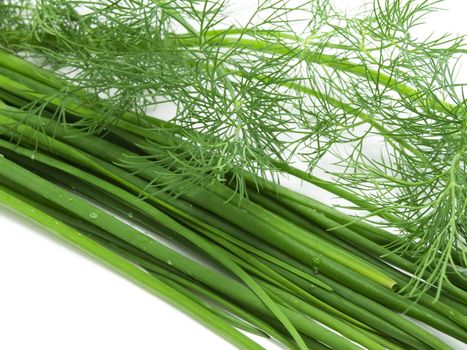 Green onions with fennel