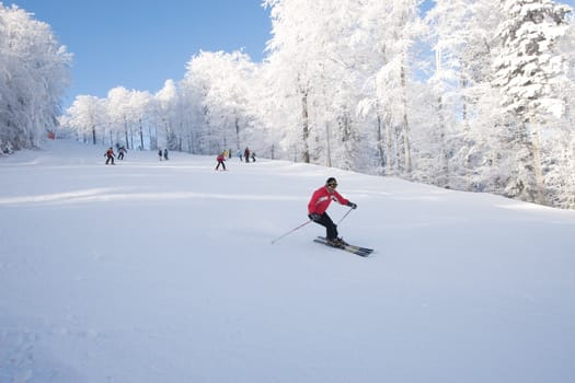Mountain ski rider in red on ski slope