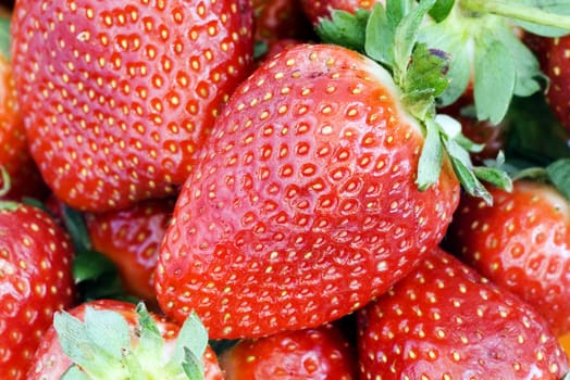 strawberries can use of  background

