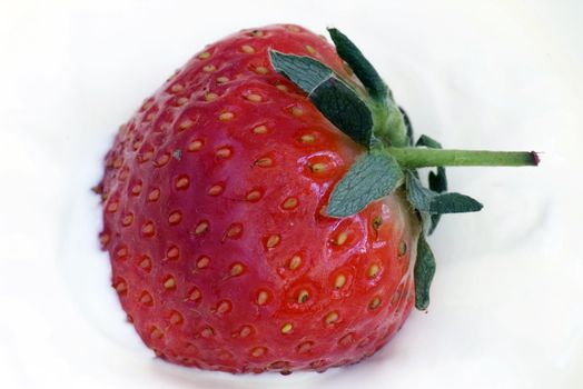 Strawberrie with clotted whipped cream