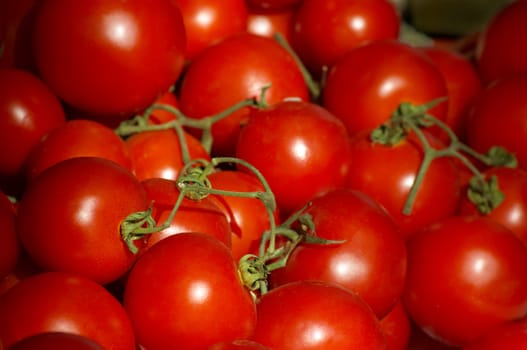 fresh ripe tomatoes macro closeup, selective focus