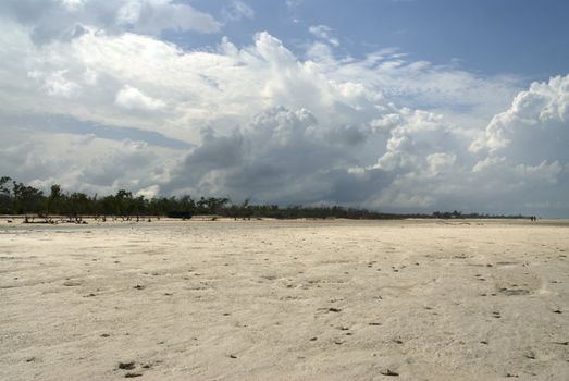 A tropical beach and shoreline are exposed at low tide with a lush jungle in the background