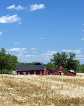 A red barn and farmhouse sit amid golden fields of wheat and grass
