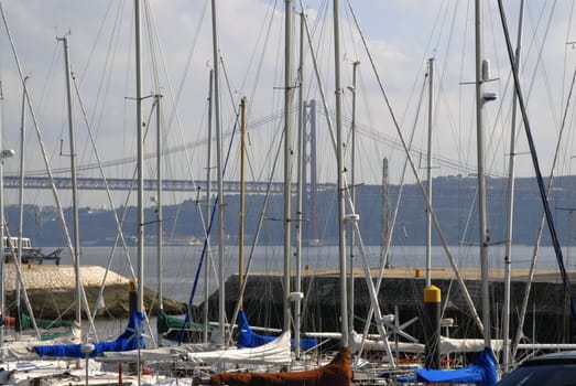 A scenic marina sits against a picturesque bridge