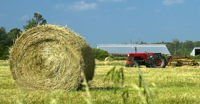 A freshly mowed farm field sits filled with hay bales with a tractor in the background