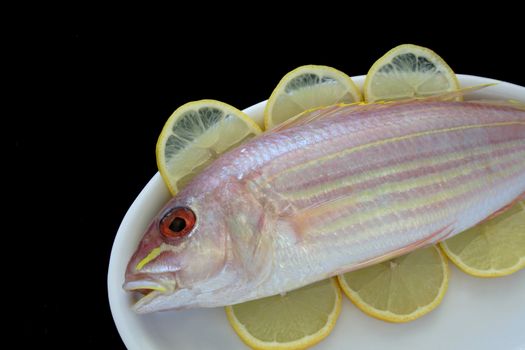 a golden threadfin fish surrounded by lemon slices on a white platter isolated on black