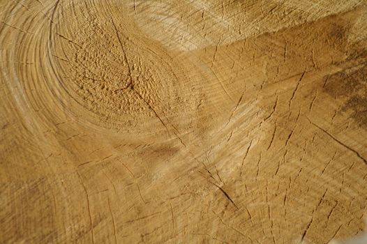 radial wooden texture