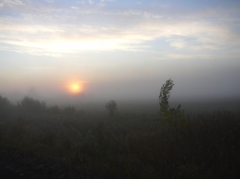 landscape with sunrise in the fog fog