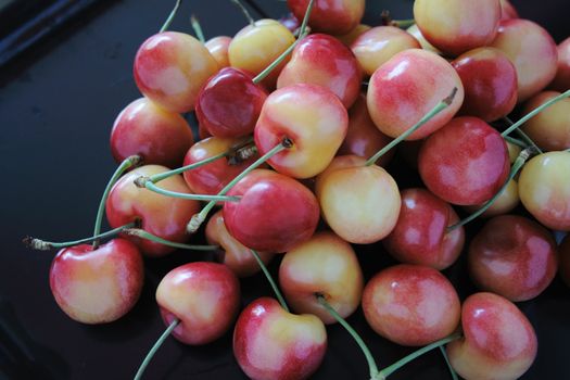 lots of fresh Rainier cherries in bright reds and yellows on a black matte tray
