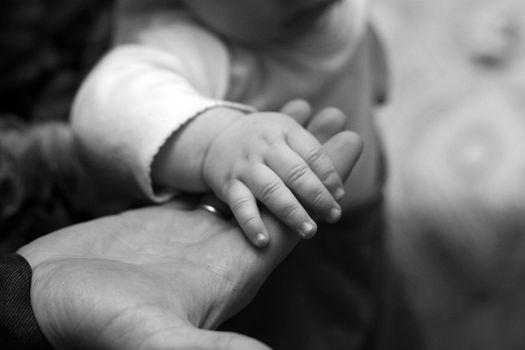 The image of hands of parents and the kid. b/w