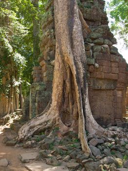 The picture of antient cambodian temple from siem riep