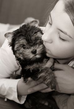 The girl embraces the puppy of the yorkshire terrier