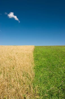 Abstract summer landscape with one small cloud