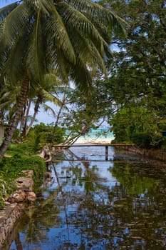 river and beach , sea, sky, palms