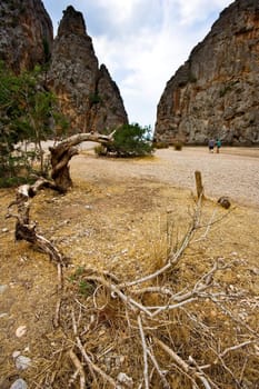 door de paradise