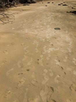 footprint at the sand beach from the desert island
