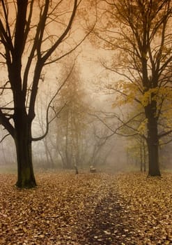 Foggy autumn and non-urban scene in southern Poland