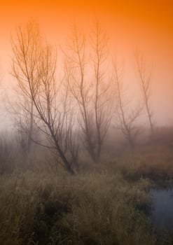 Foggy autumn and non-urban scene in southern Poland