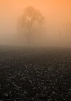 Foggy autumn and non-urban scene in southern Poland