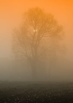 Foggy autumn and non-urban scene in southern Poland