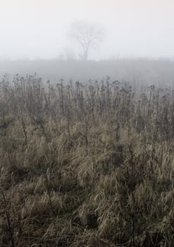 Foggy autumn and non-urban scene in southern Poland