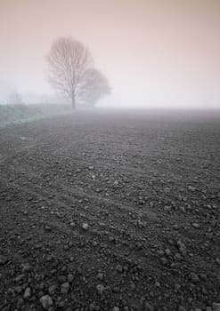 Foggy morning and non-urban scene in southern Poland