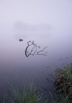 Foggy morning and non-urban scene in southern Poland