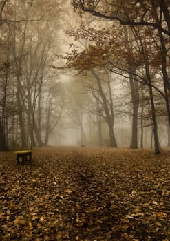 Foggy morning and non-urban scene in southern Poland