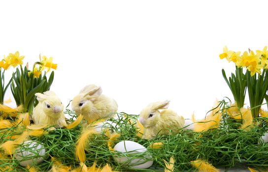 Easter decoration with rabbits, eggs and narcissus flowers