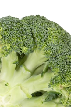 Close-up of a raw broccoli - isolated on white background