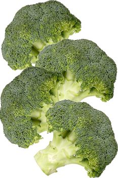 Four pieces of raw broccoli - isolated on white background