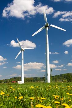 Windmills against blue sky with white clouds and yellow flowers on the ground