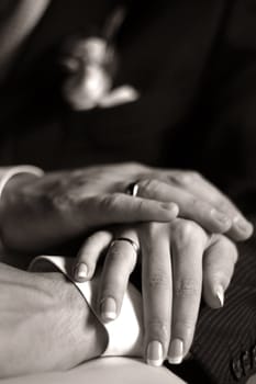 The groom keep the bride for hands. b/w+sepia