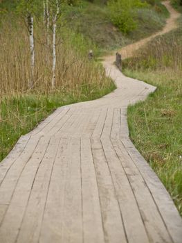 Wooden path in the green grass and nature