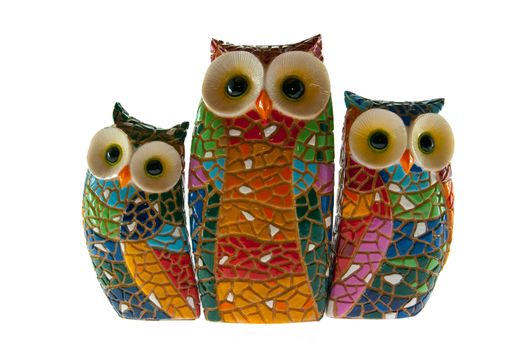 the picture of the nice owl family