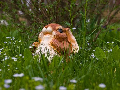 The picture of cute garden funny rabbit