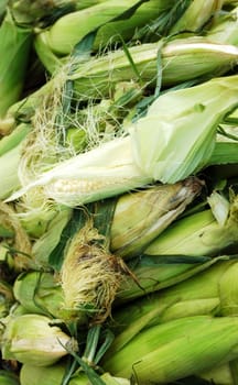 Stack of corn waiting to shucked at the market